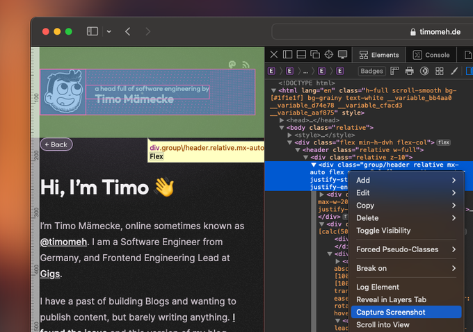 Making a Screenshot of a node in Safari's Web Inspector